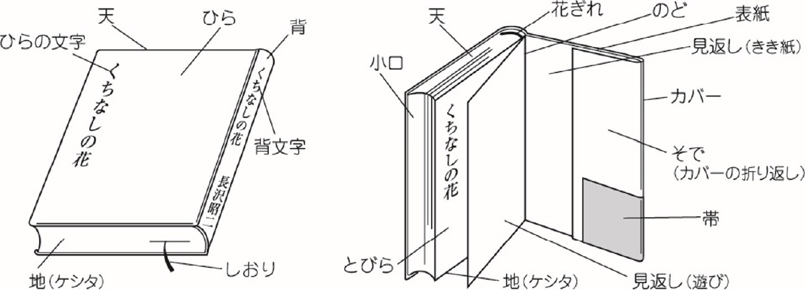 本の部位の名称